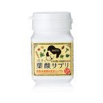 パティ葉酸サプリ -人気葉酸サプリンキング